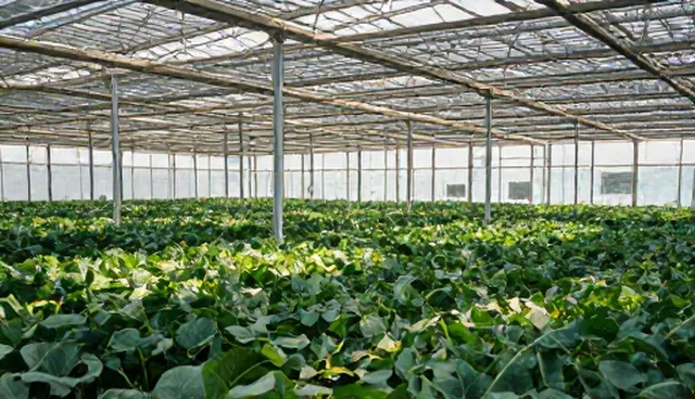 设备维修选型关注点:性能与适用条件的取舍